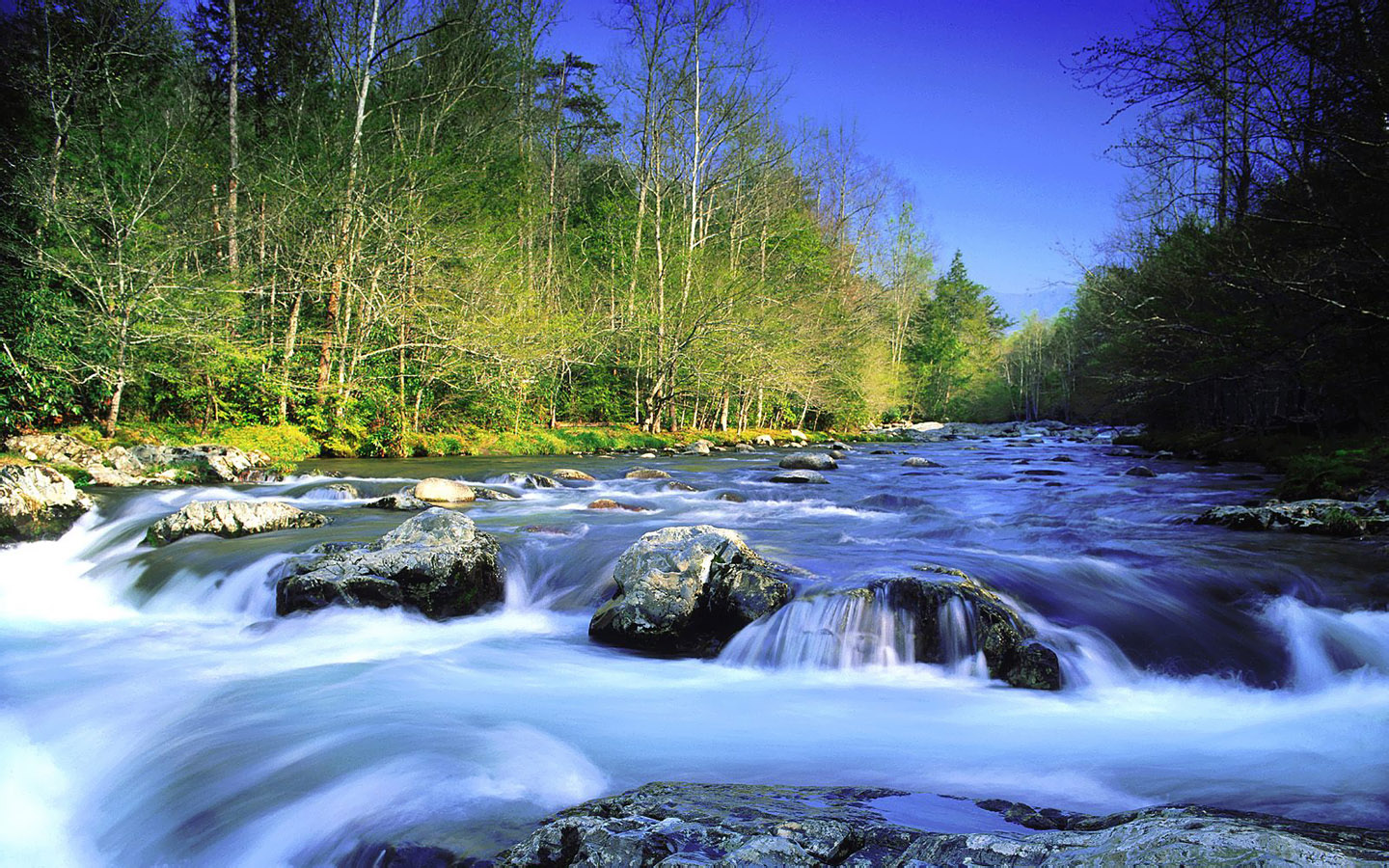 Free Download Free High Resolution Nature Wallpapers 21jpg 1440x900 