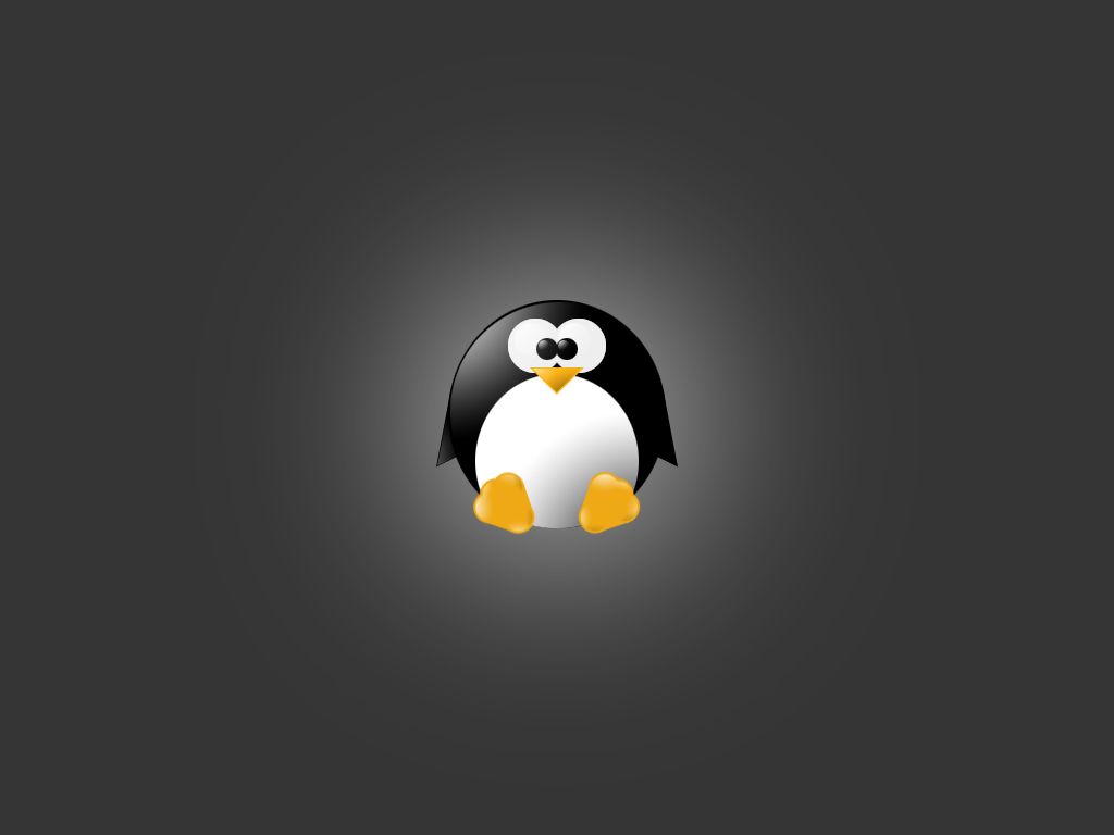 Cute Penguin Backgrounds 1024x768