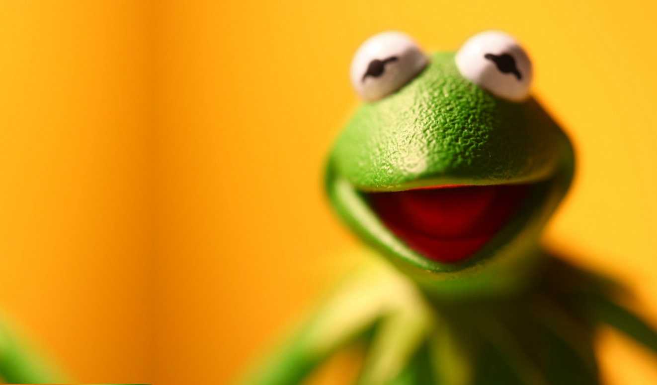 Desktop Kermit The Frog Wallpaper