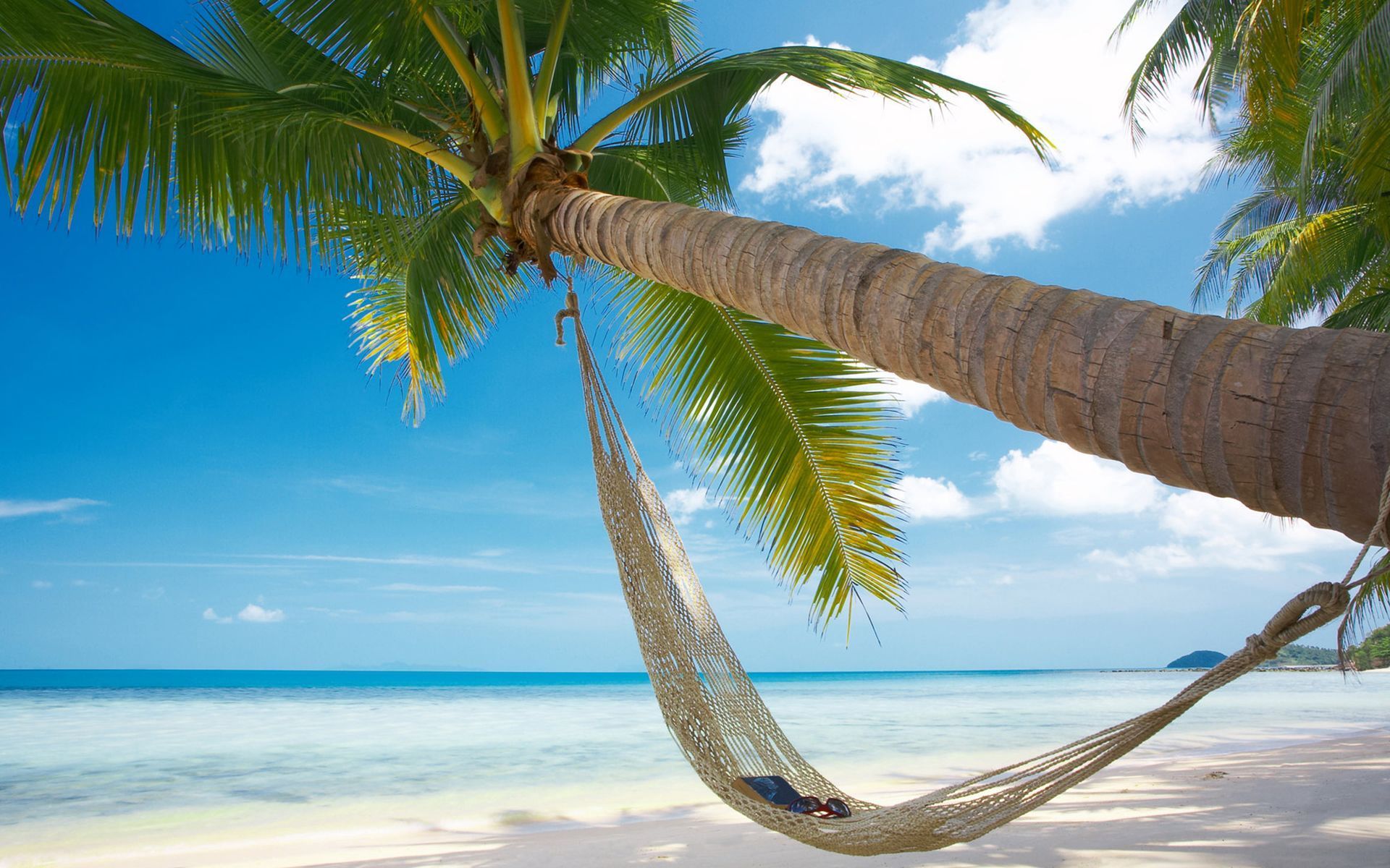 Free download tropical beach hammock hd wallpapers scenes wallpaper ...