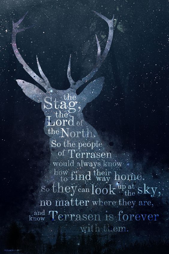 wyress THRONE OF GLASS The Stag Constellation Books 564x846