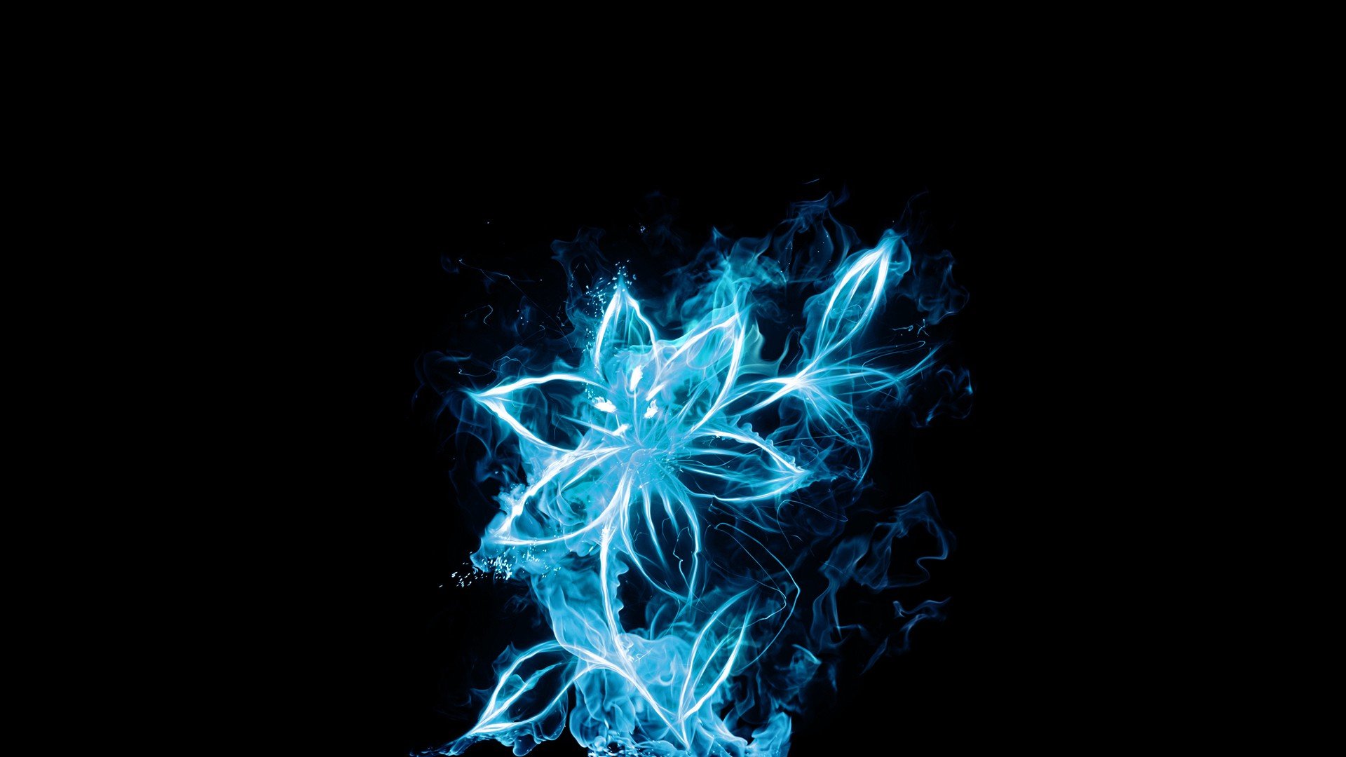 Blue Flowers Glow Fire Flower Wallpaper
