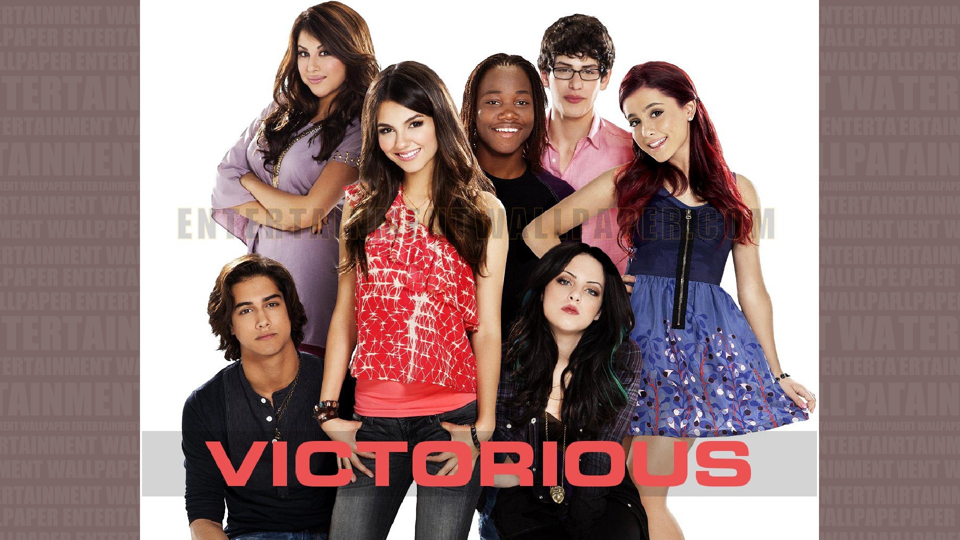 Victorious Cat Wallpapers  Wallpaper Cave