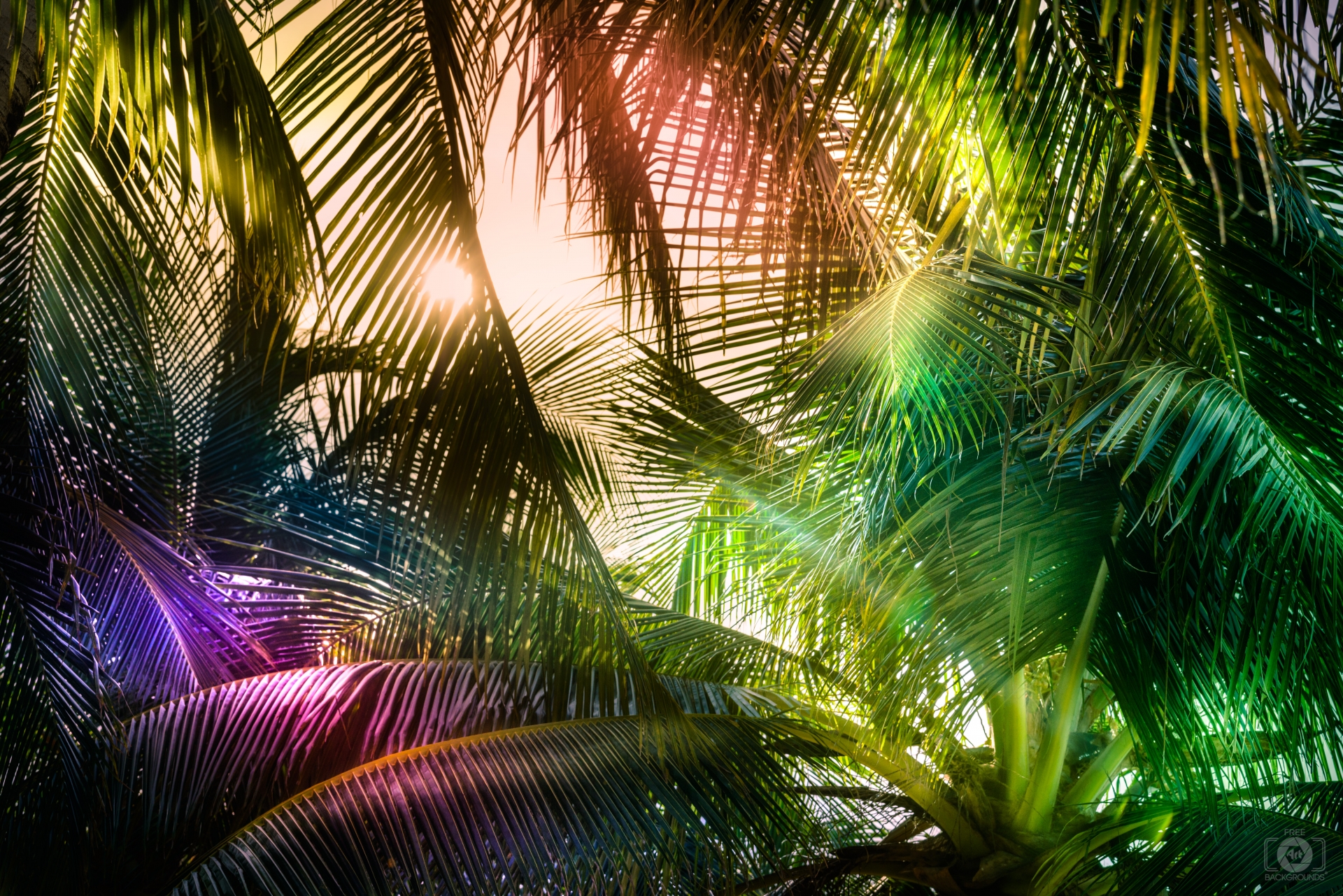 Art Palm Background   High quality Free Backgrounds