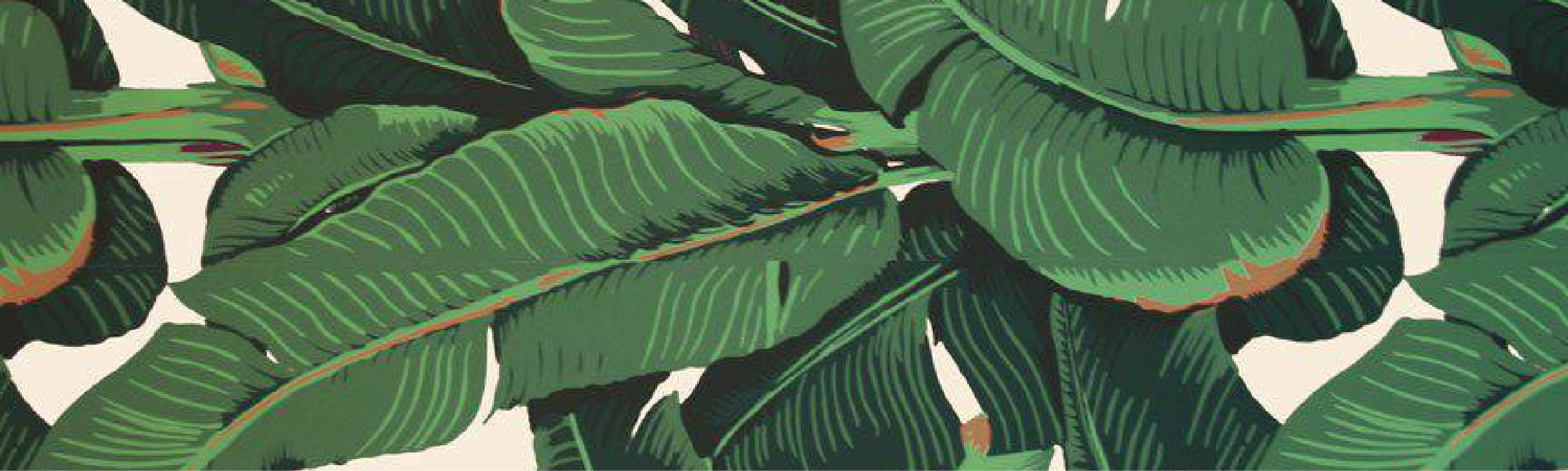 Banana Leaf Wallpaper Bathroom Jungle interior design ideas