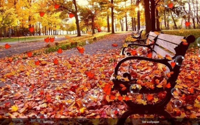 Autumn Live Wallpaper Android