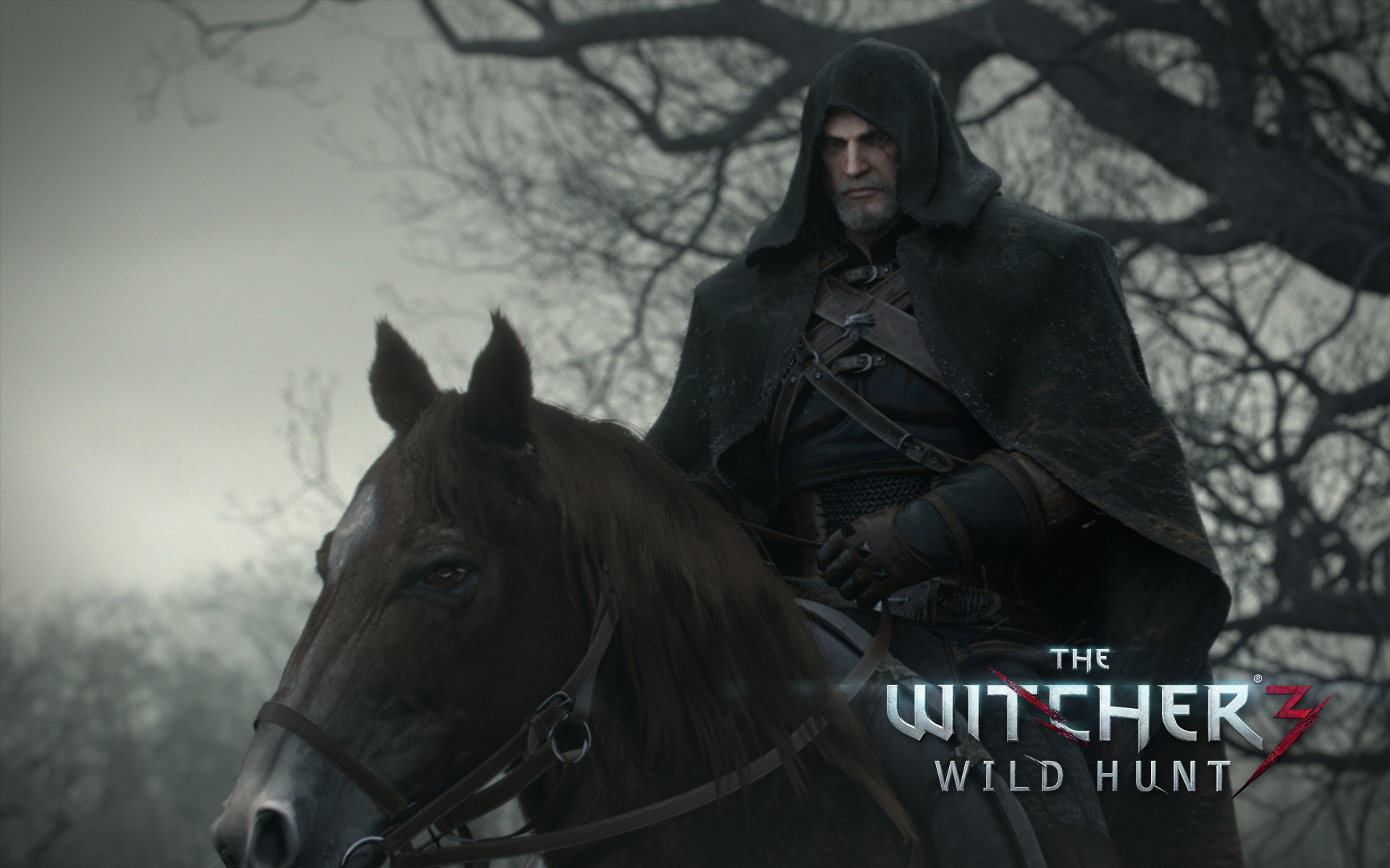 The Witcher Wild Hunt Wallpaper HD Select Game