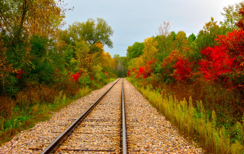 Railroad Track In Autumn Wallpaper