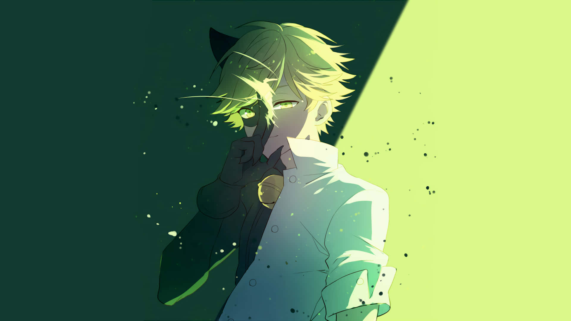 Miraculous Ladybug Adrien Wallpaper