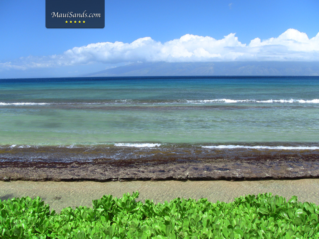 HD Maui Hawaii Wallpaper For Your iPad iPhone And Puter
