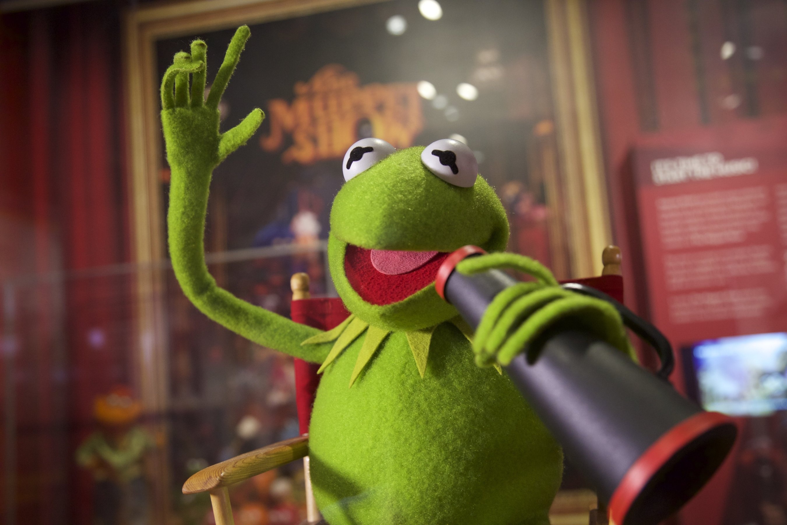 Kermit The Frog Wallpaper