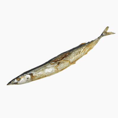 Pacific Saury Wallpaper