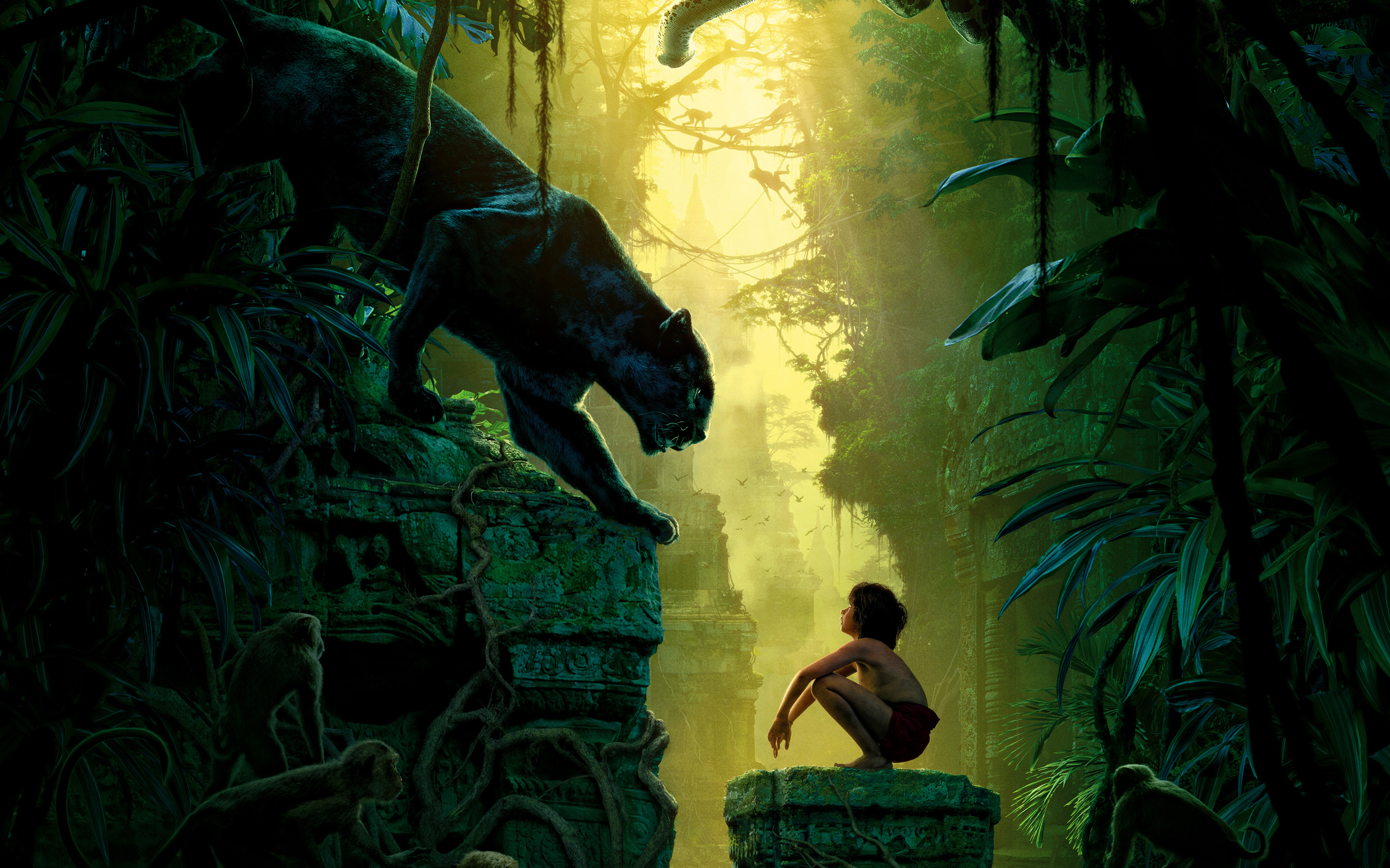 The Jungle Book 2016 Movie Wallpapers HD Wallpapers