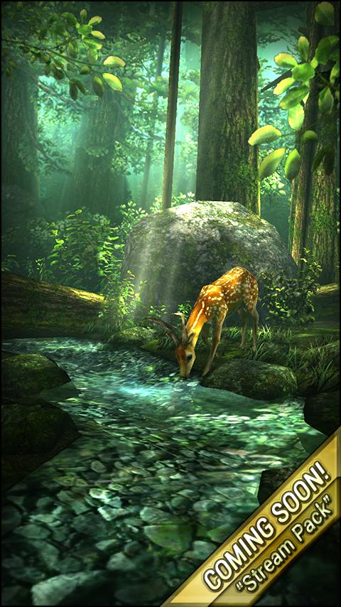 Forest HD Playboard Forest HD Play Store
