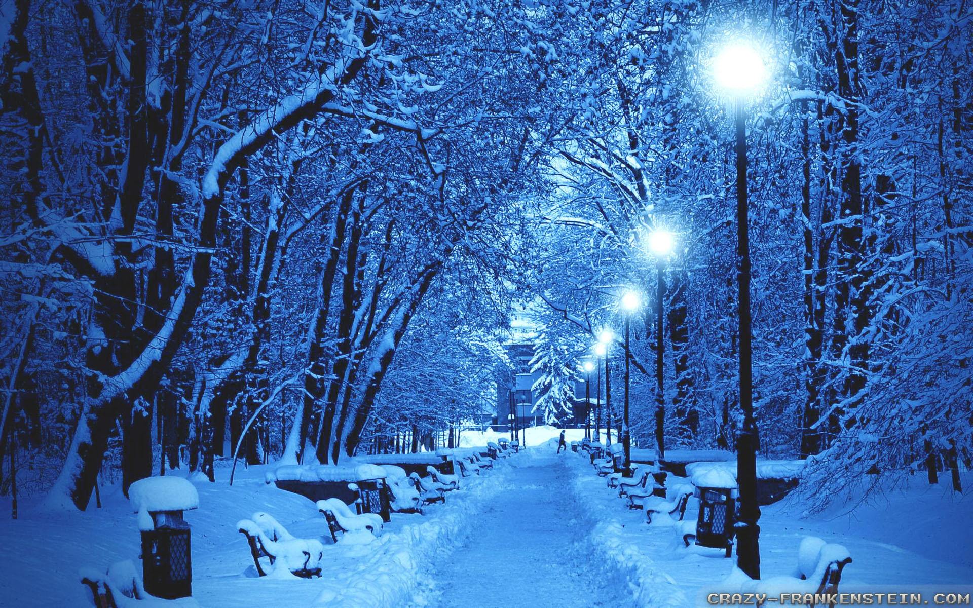 Winter Scenes Wallpaper