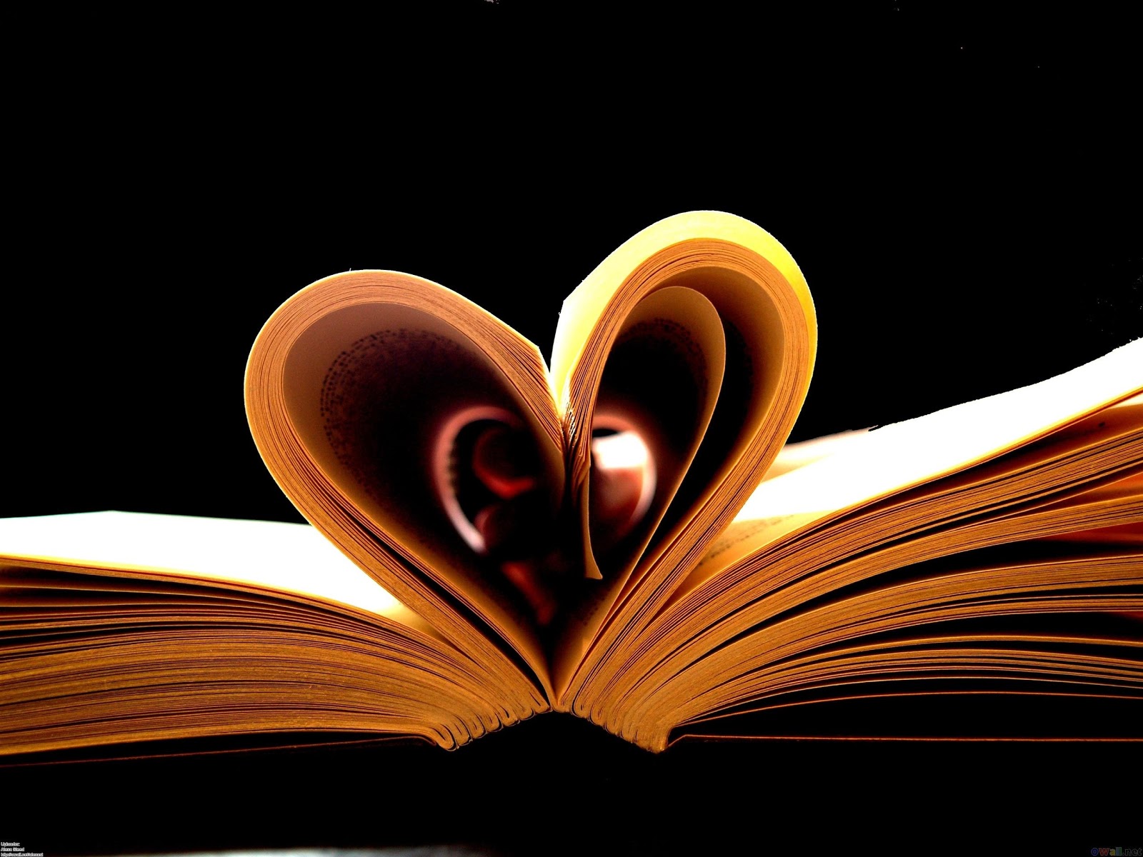 Love Book HD Wallpaper