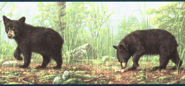  Three Bear Cubs Wondering The Woods No Pooh Blue Wallpaper Wall Border