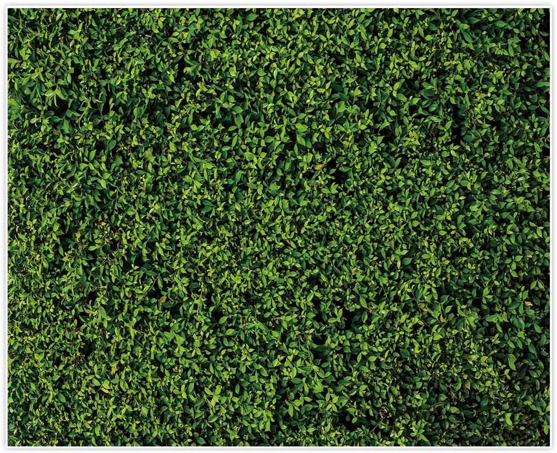 Amazon Allenjoy Nature Green Lawn Leaves Backdrop For