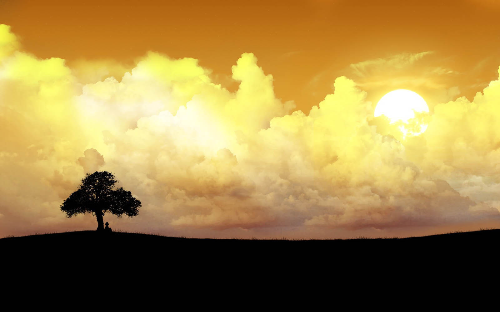 Wallpaper Lonely Tree Photography