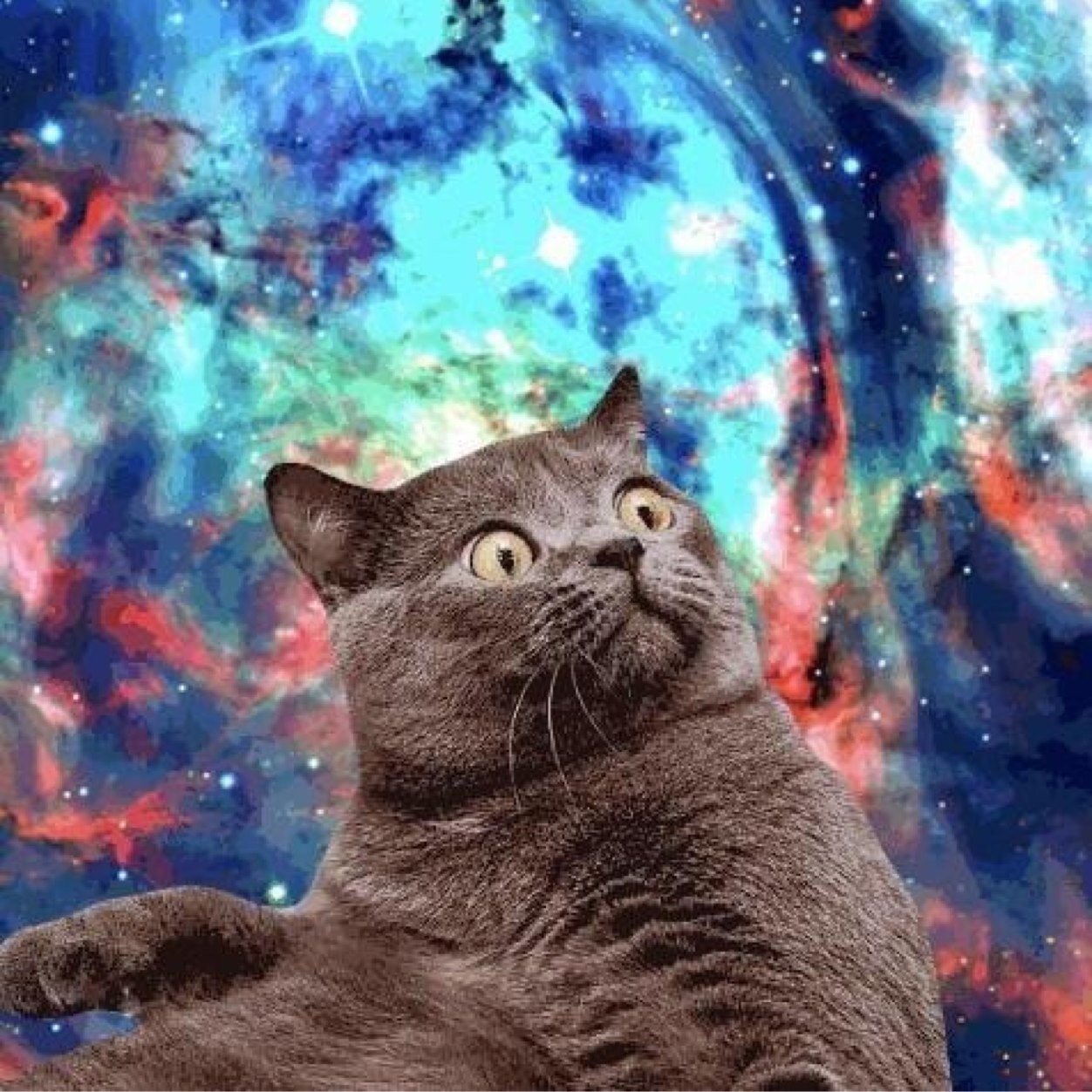 Space Cats ItsSpaceCats