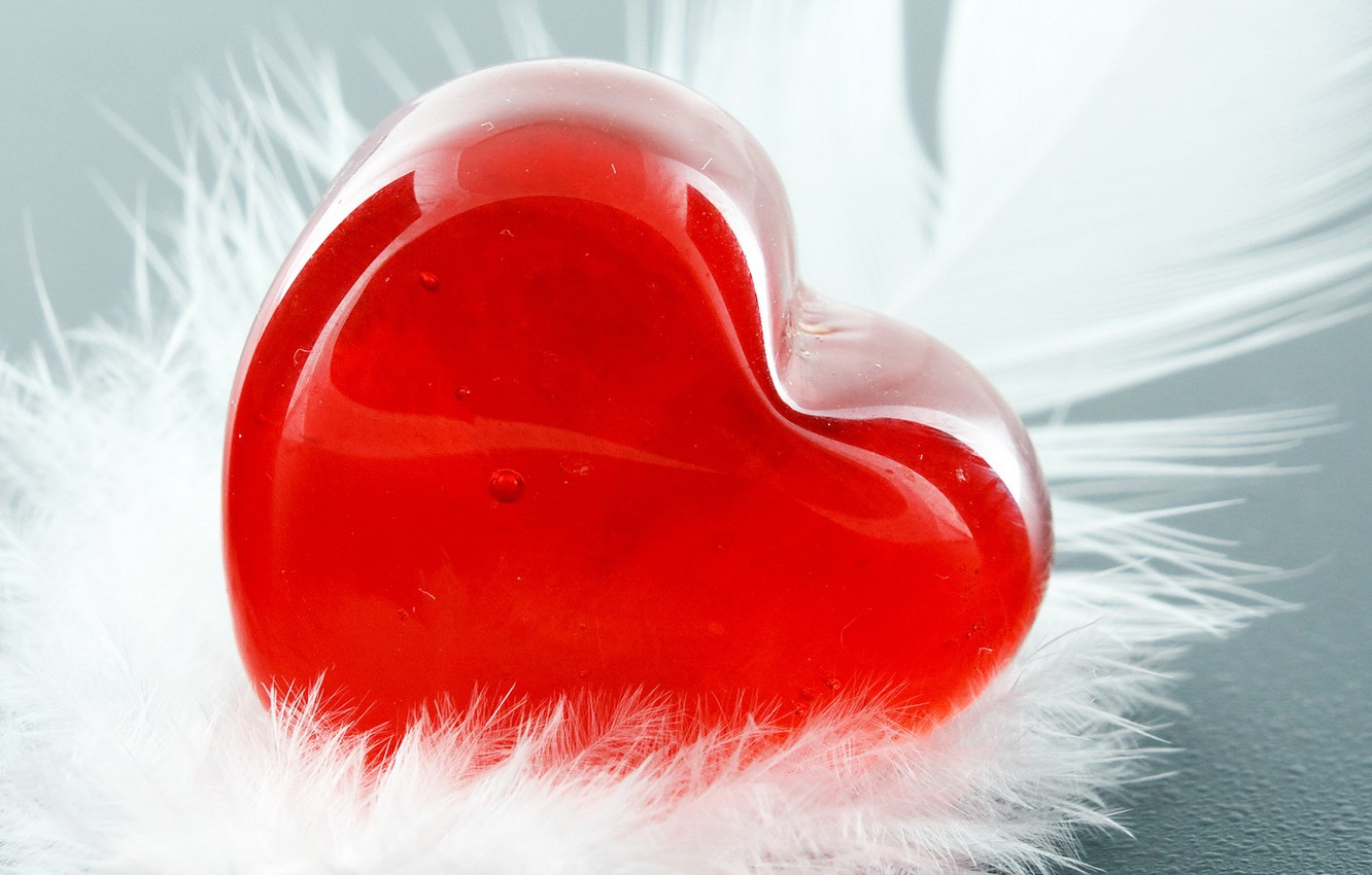 Wallpaper Red White Heart A Feather Image For Desktop Section