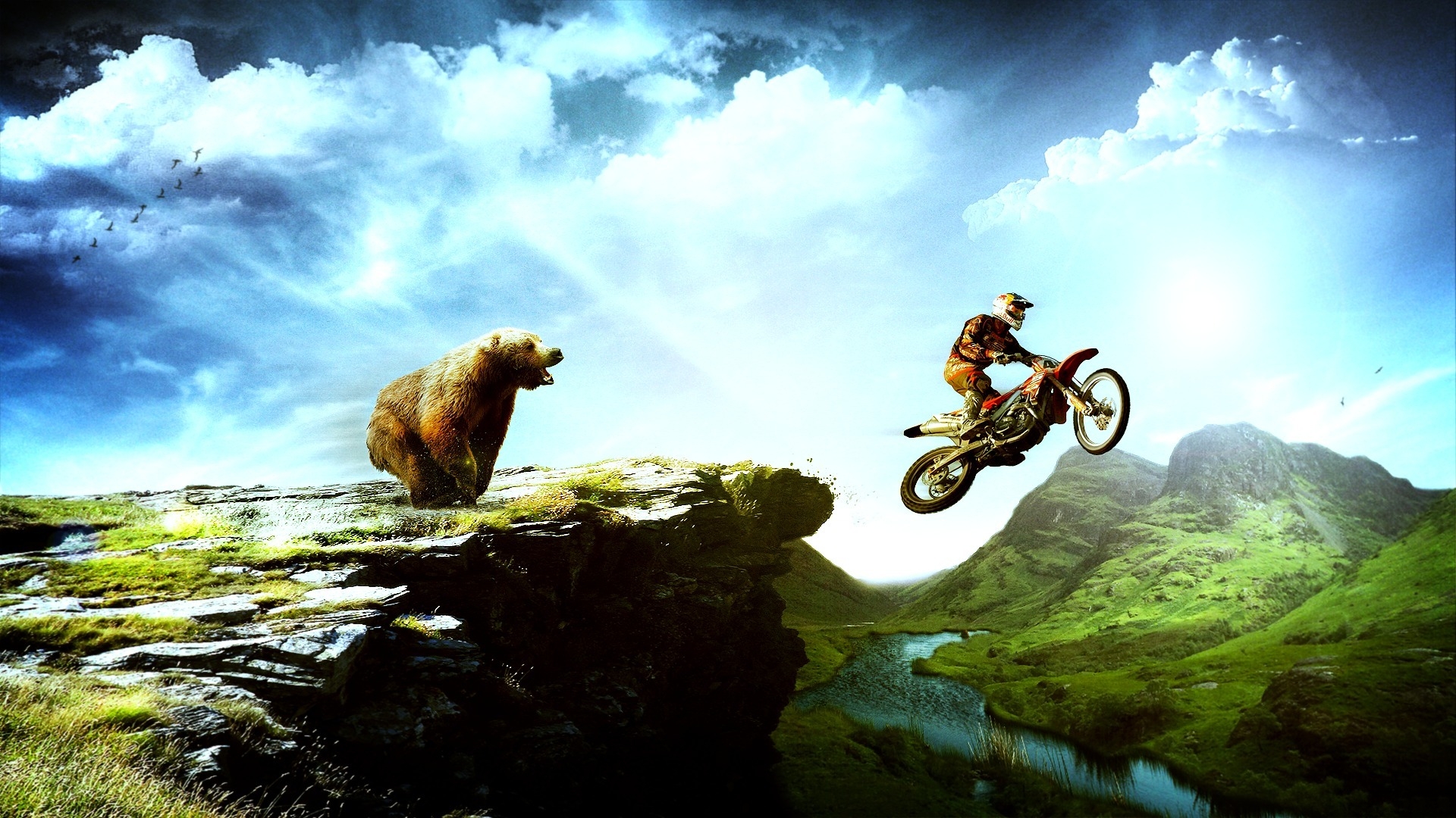 Moto X Bear Chasing Wallpaper