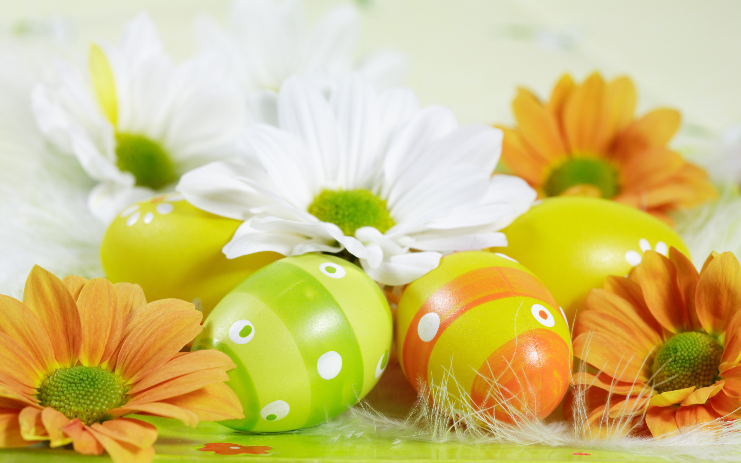 Easter Eggs Desktop Wallpaper On Latoro
