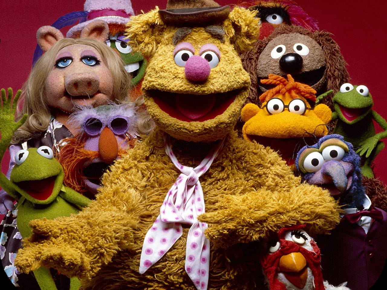 Animal Muppet Wallpaper Related Keywords Amp Suggestions
