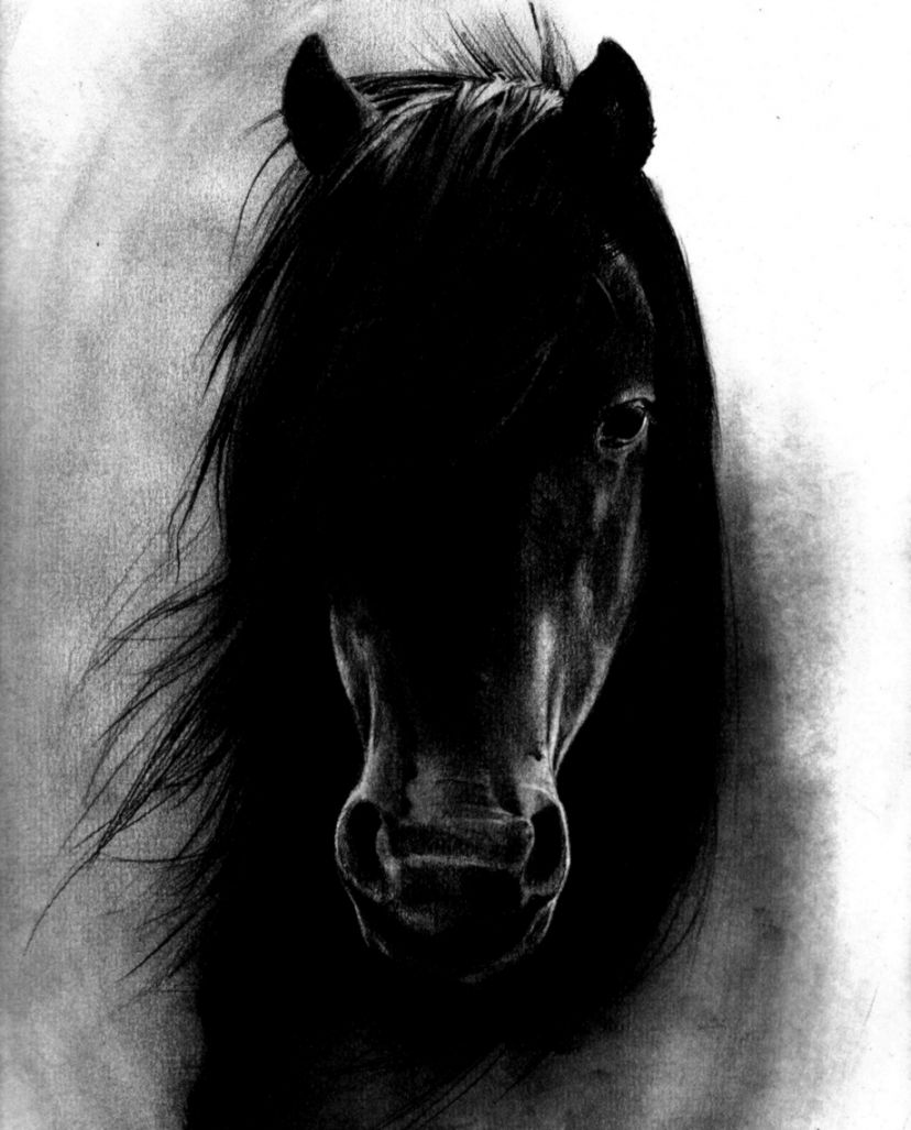 Best Dark Horse Background Wallpaper Emoji