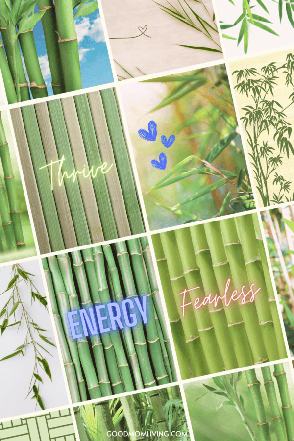 Bamboo Wallpaper iPhone HD For Mobile
