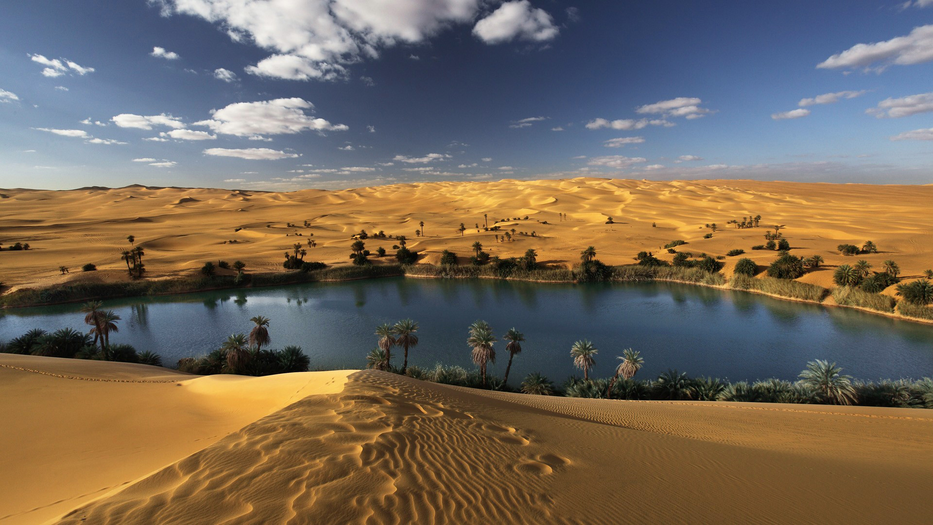 Desert Oasis Water Landscape CGi 3d wallpaper 1920x1080 50304