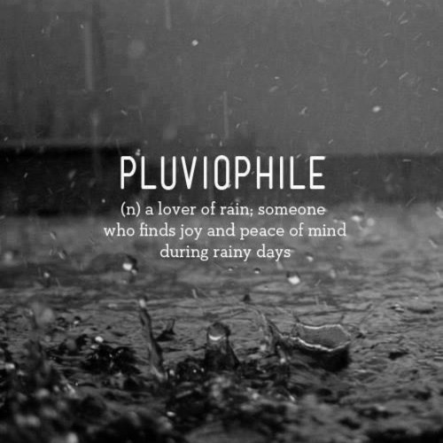 Pluviophile Lover Of Rain Wallpaper For iPad