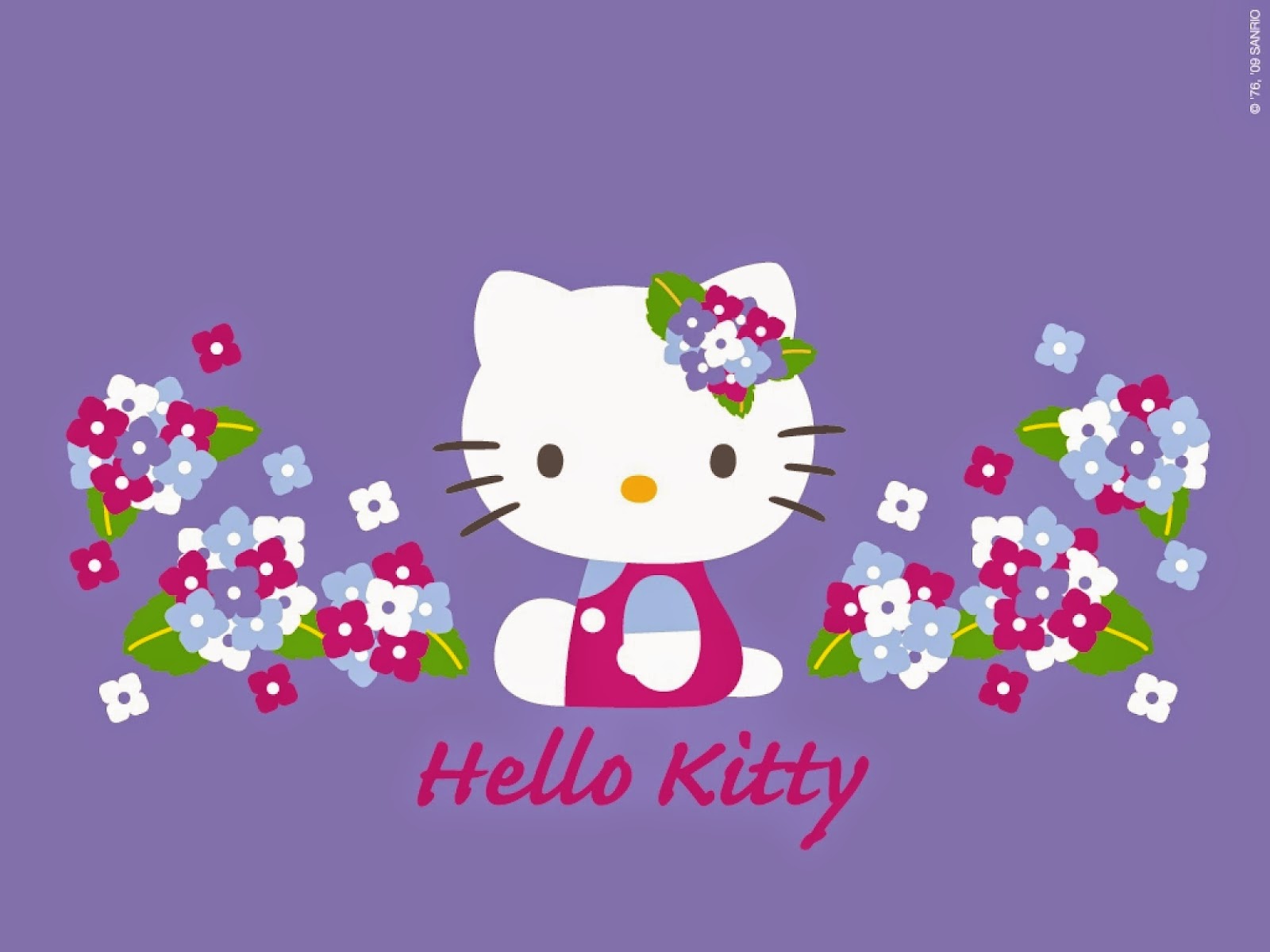 purple hello kitty background｜TikTok Search
