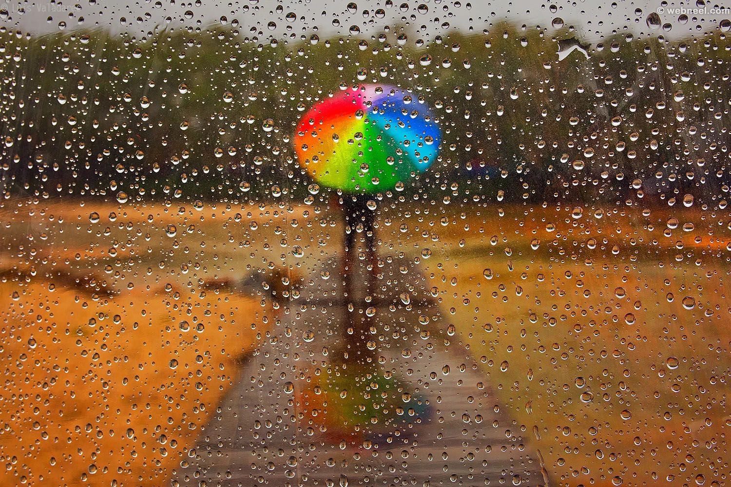 Beautiful Rain Wallpaper