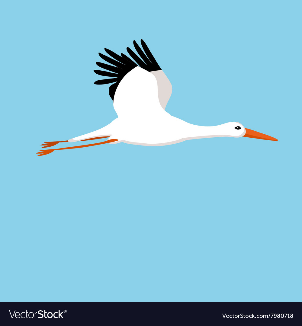Flying stork on a blue background Royalty Vector Image 1000x1080