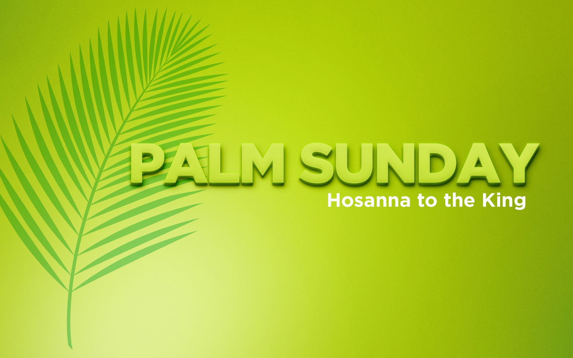 Palm Sunday Wallpaper