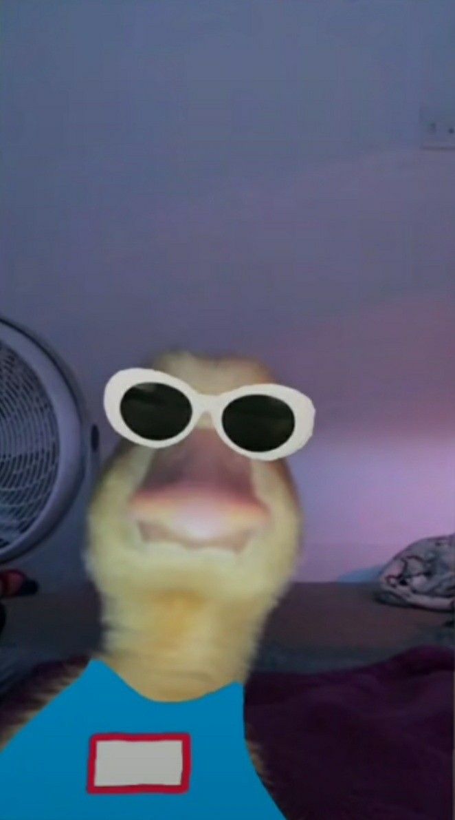 Best Tiktok Pfp Wallpaper