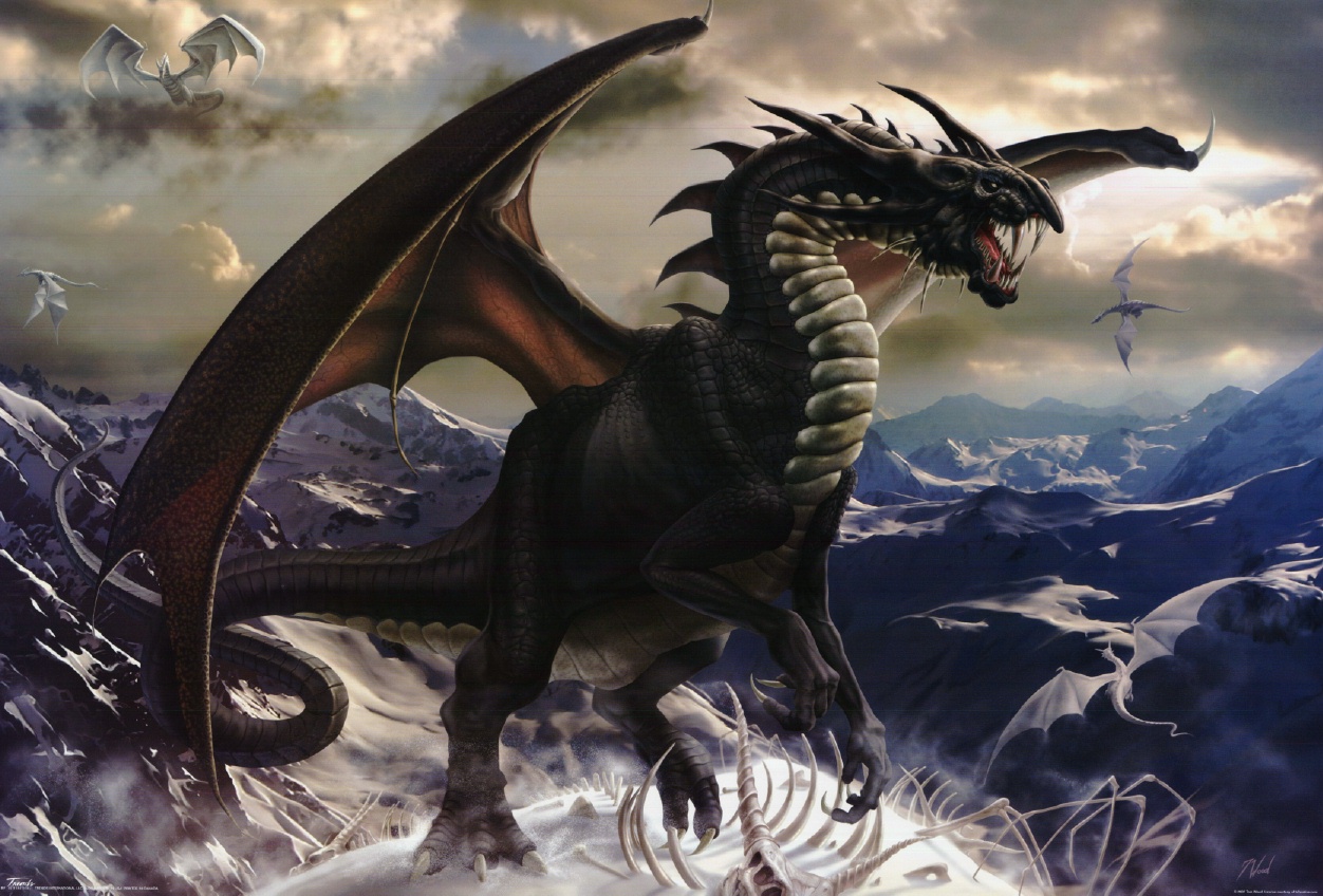 Dragons Wallpaper Background