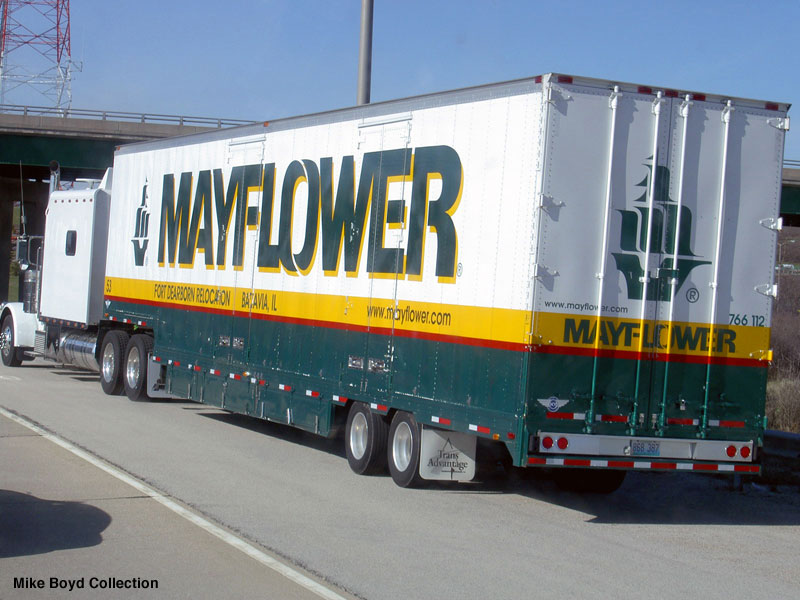 mayflower moving image search results