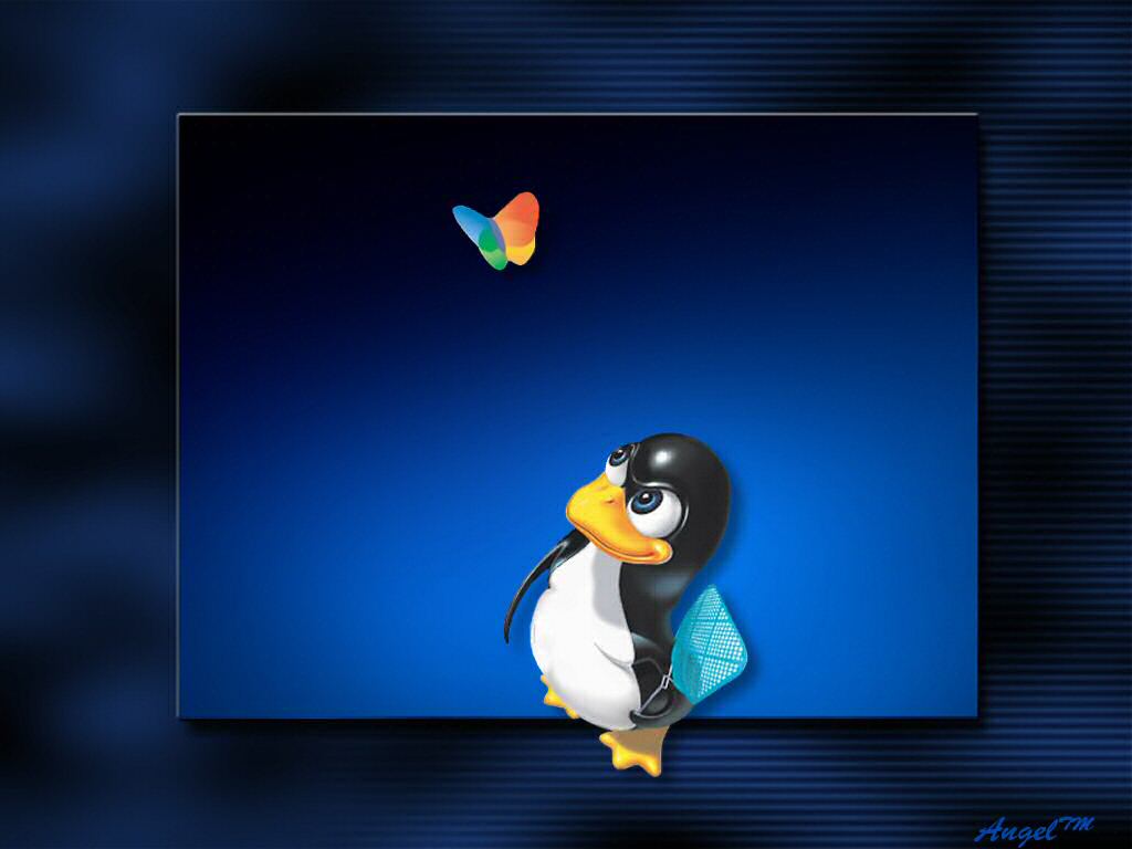 Linux Penguin Windows HD Wallpaper Background Image