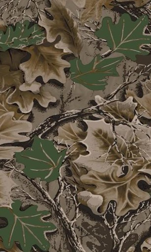 Realtree Camo Background For iPhone Camouflage Wallpaper Pictures