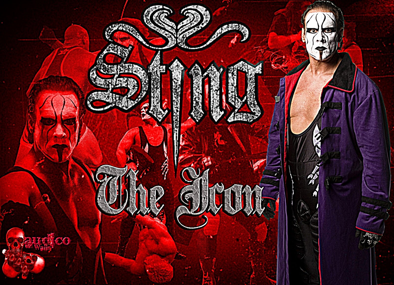 Free Download Sting Wallpaper Sting Wallpaper Sting Wallpaper Sting 