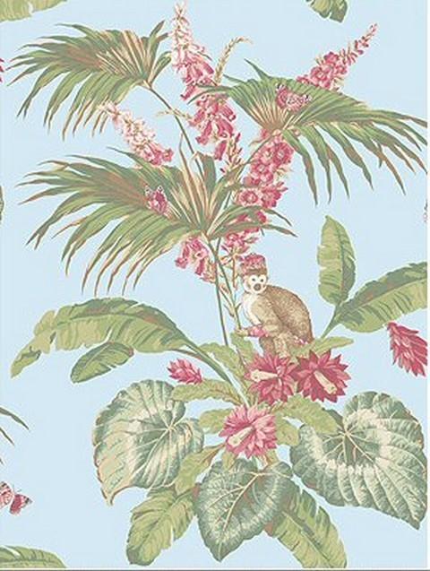Tropical Plants Wallpaper 480x637