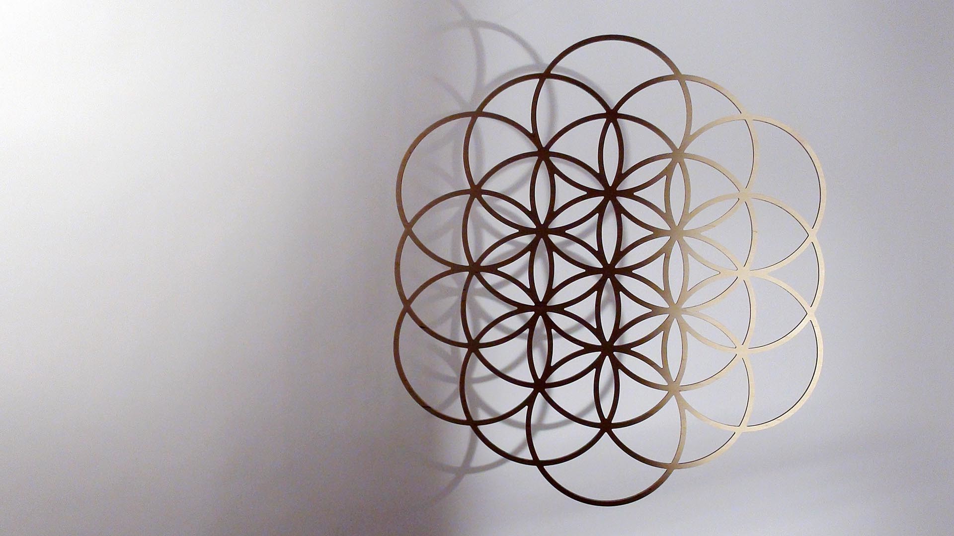 Flower Of Life Wallpaper