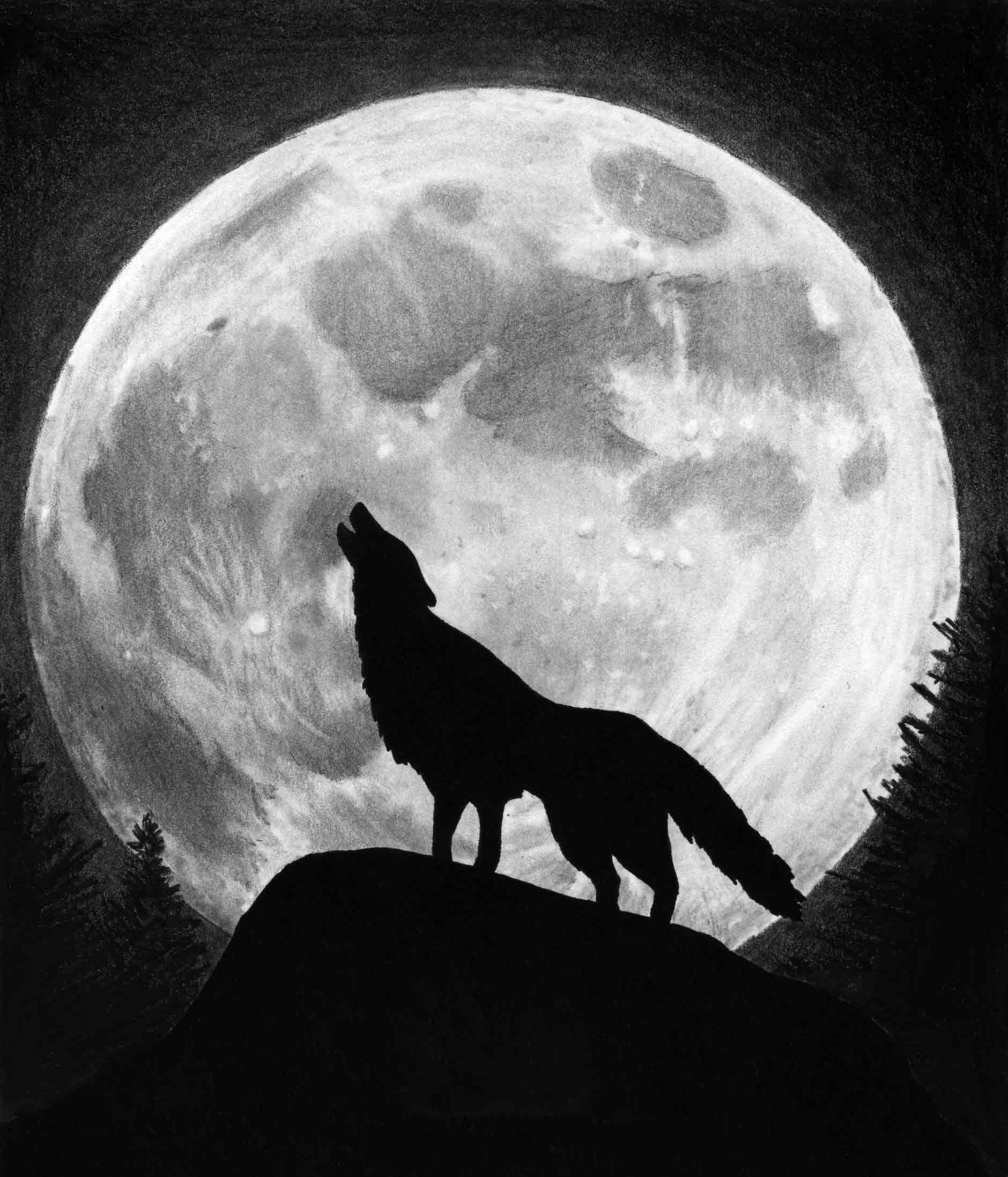 Wolf Moon Pictures   HD Wallpapers and Pictures