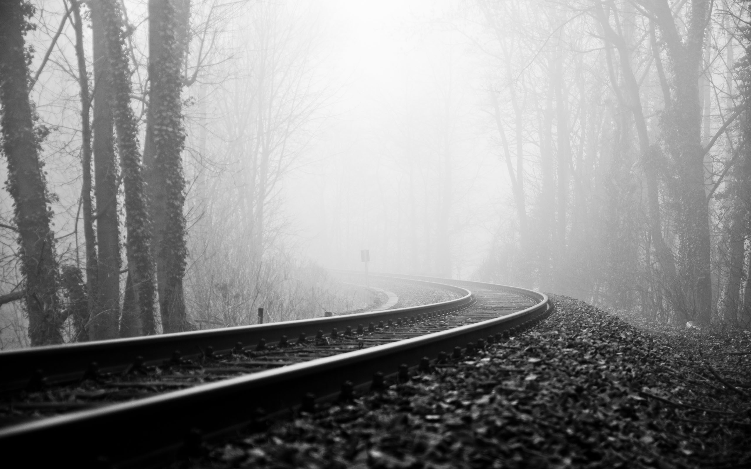Black And White Background Wallpaper