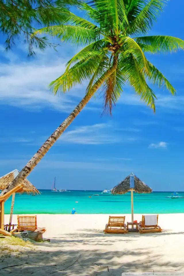 Beach iPhone Wallpaper HD Quality Best Background