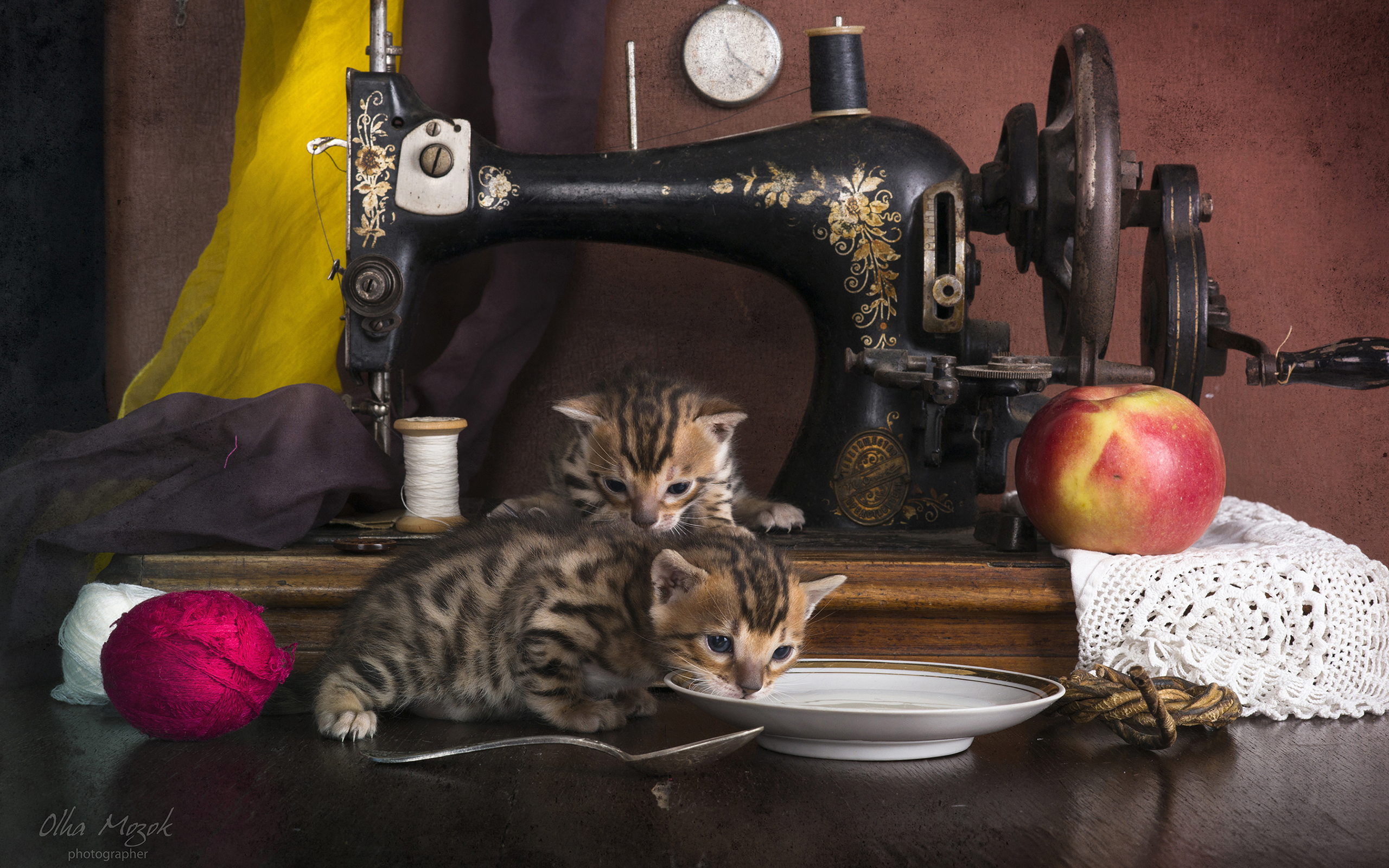 Kittens Next To Vintage Sewing Machine HD Wallpaper Background