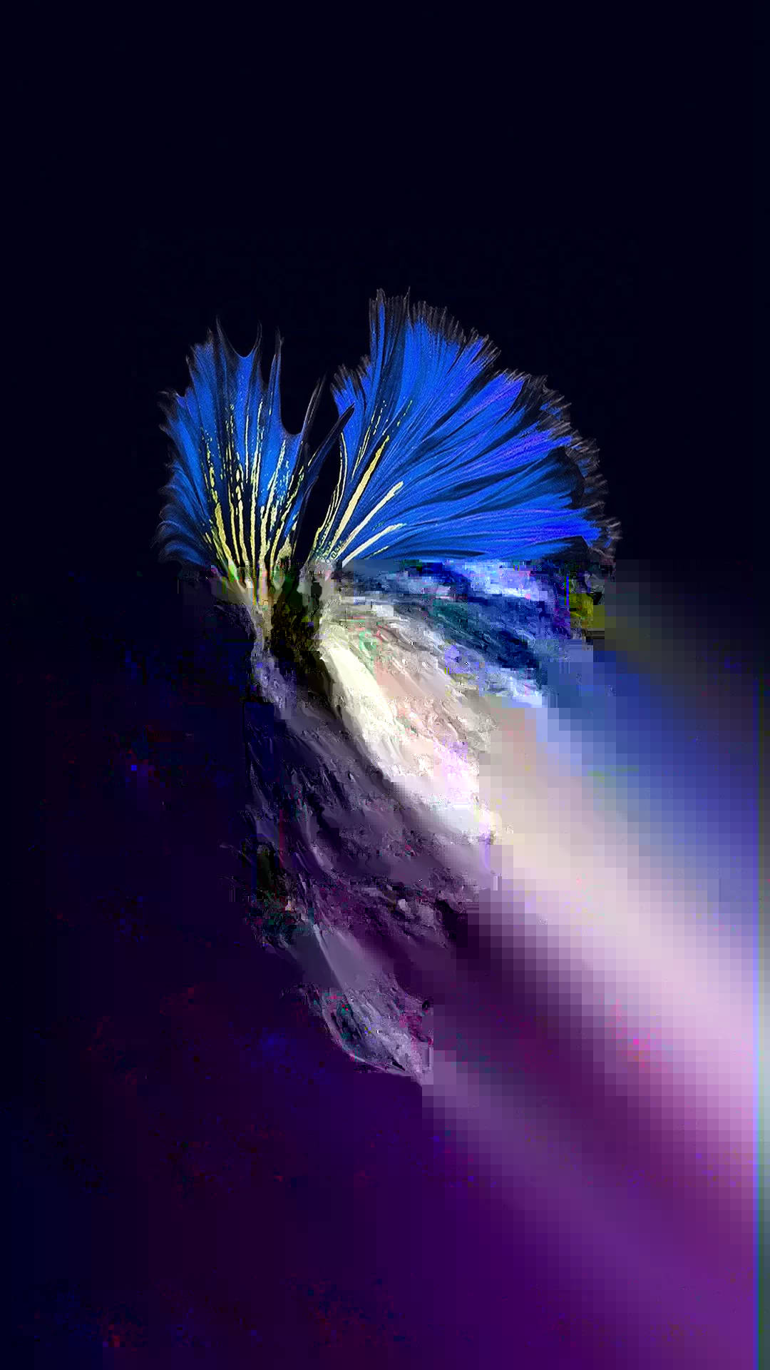 Fish iPhone Wallpaper