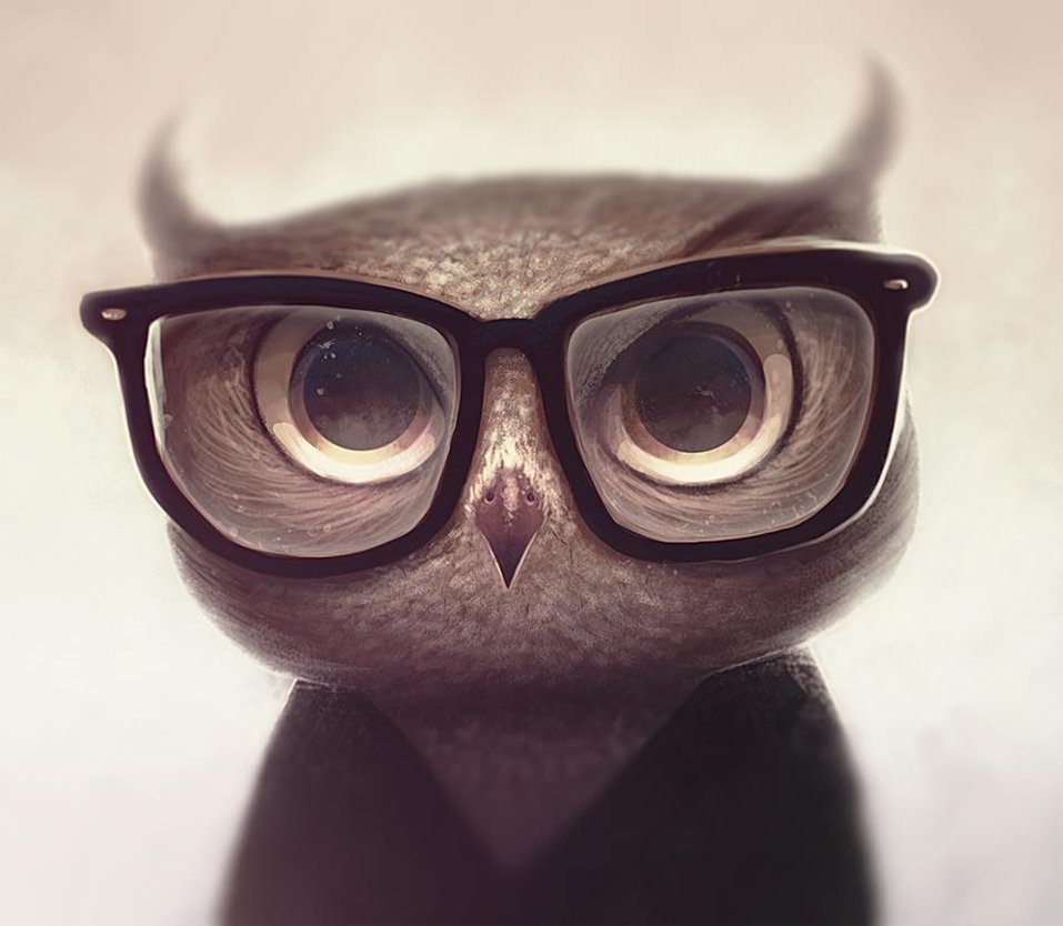 Nerdy Owl By Vincenthachen